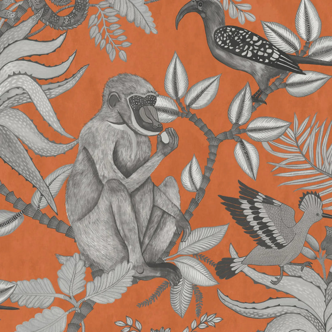 Savuti Wallpaper Orange