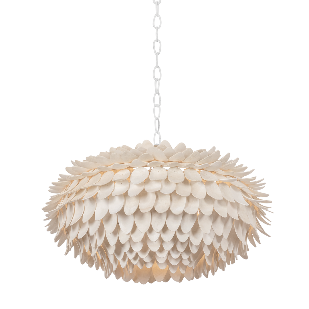 Alsen Coco Shell Chandelier - 25.75