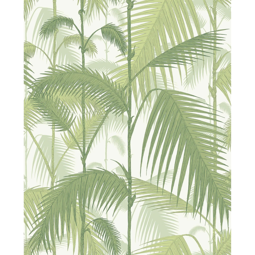 Palm Jungle - Olive Gre/White - 95/1001-CS