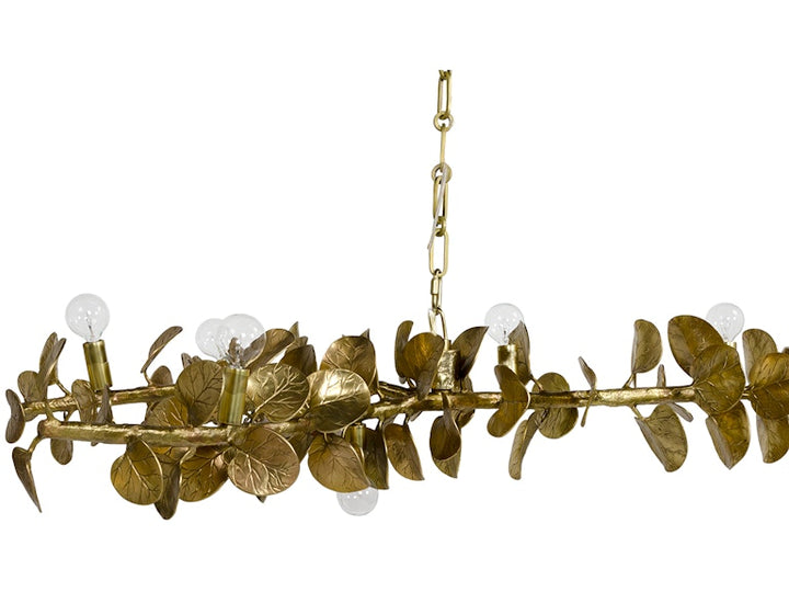 Eucalyptus Leaf Brass Chandelier