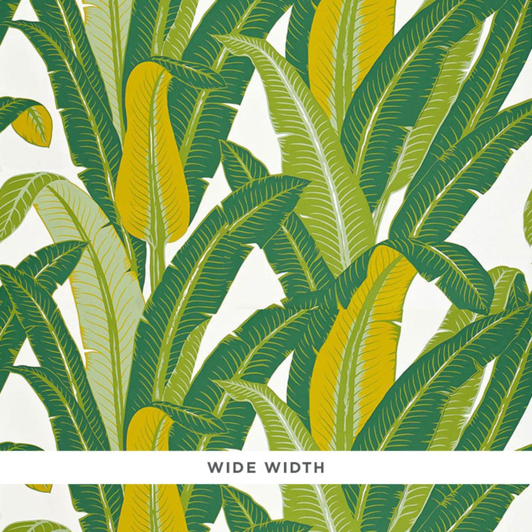 Tropical Isle Wallpaper - Green On White 2707230