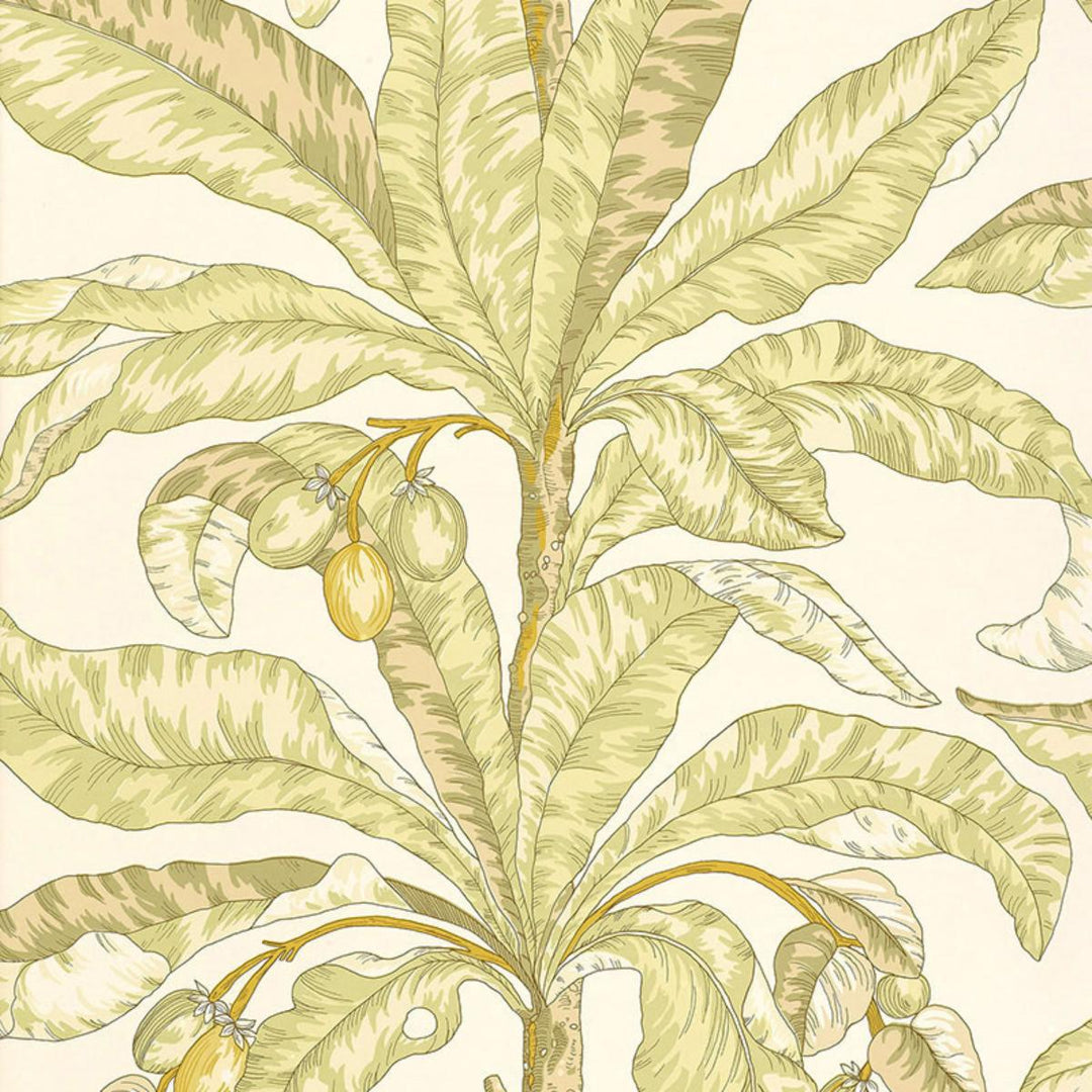 Blair House Palm Wallpaper - Kiwi  5004062