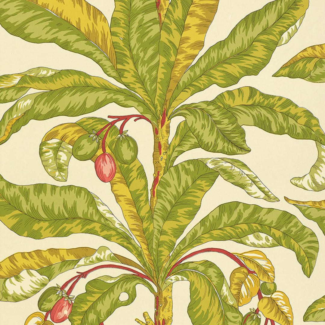 Blair House Palm Wallpaper - Tropical  5004063