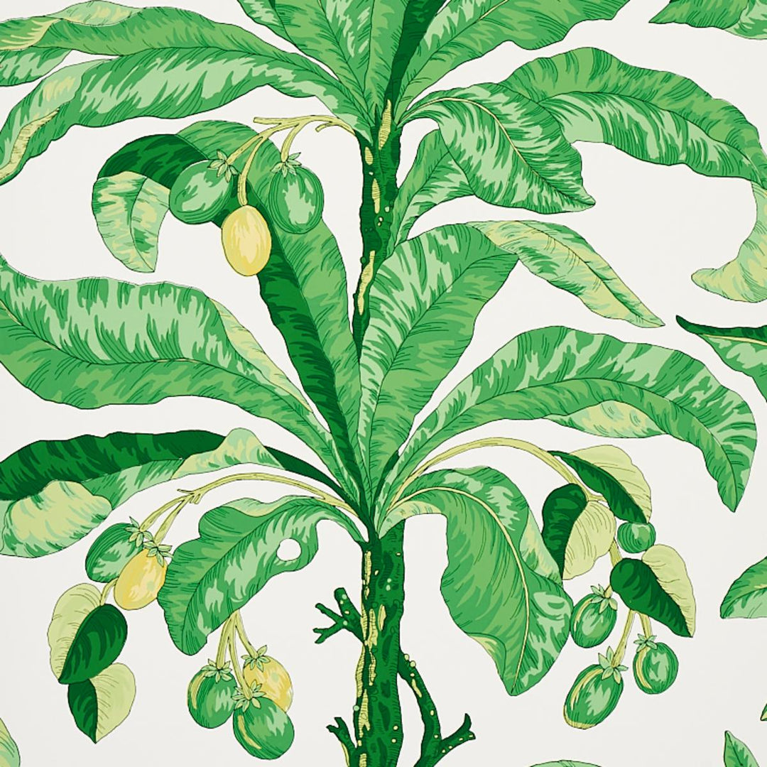 Blair House Palm Wallpaper - Green  5004064