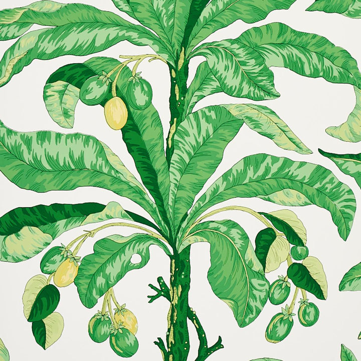 Blair House Palm Wallpaper - Green  5004064