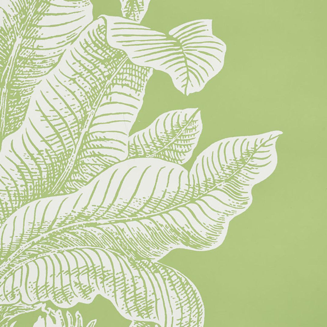 Grand Palms Wallpaper - Leaf 5009620
