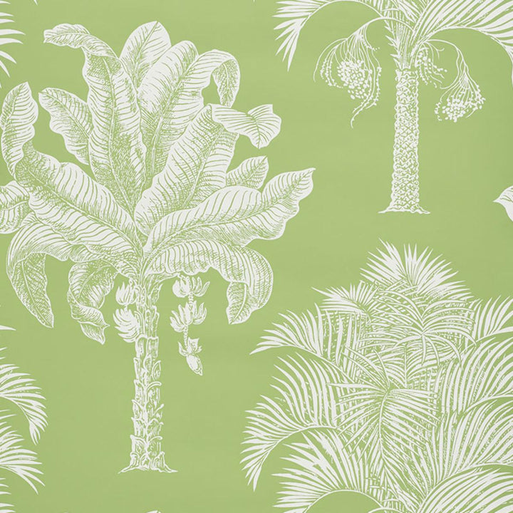 Grand Palms Wallpaper - Leaf 5009620