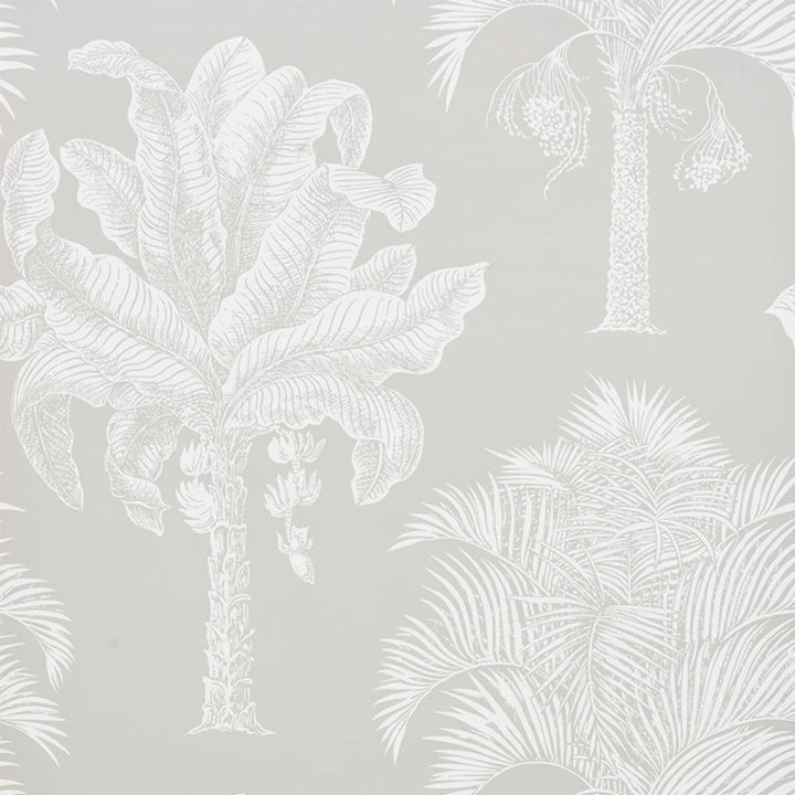 Grand Palms Wallpaper - Dove  5009622
