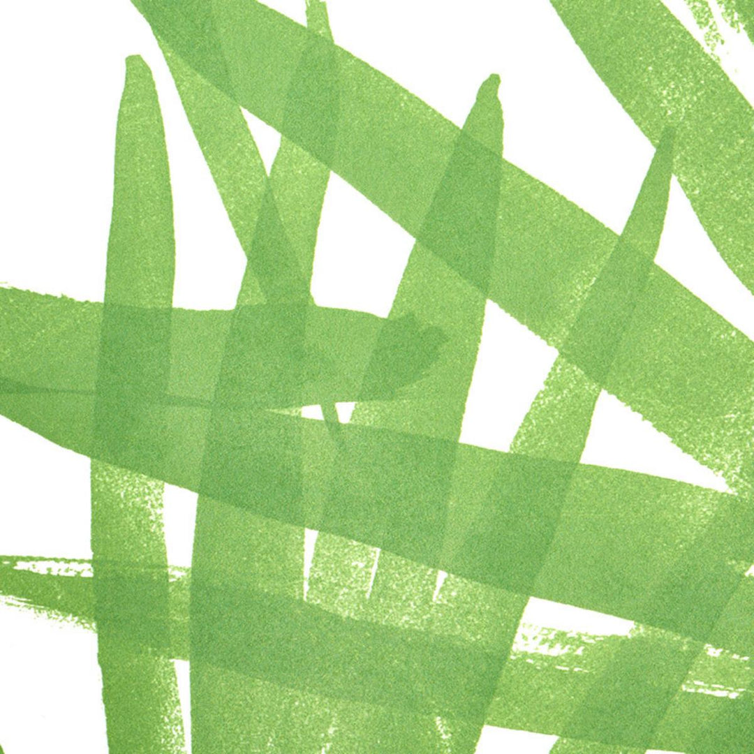 Sunlit Palm Wallpaper - Green 5010560