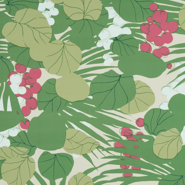 Sea Grapes Wallpaper - Tropical  5011731