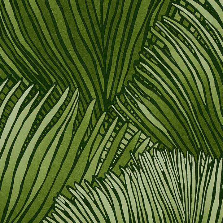 Fondale Wallpaper - Green  5012652