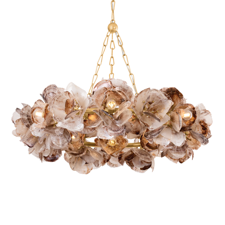 Galle Oyster Shell Chandelier - 40"