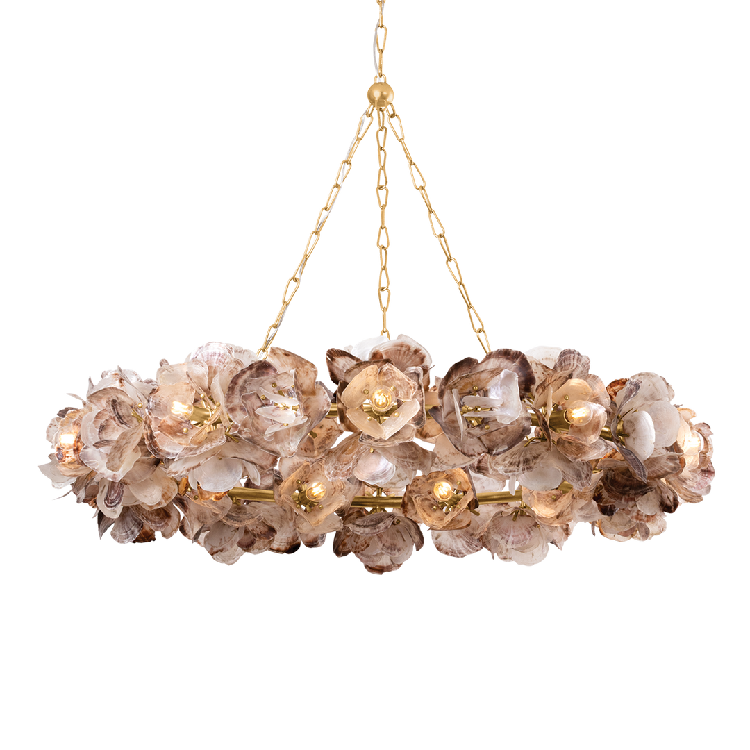 Galle Oyster Shell Chandelier - 54.25"