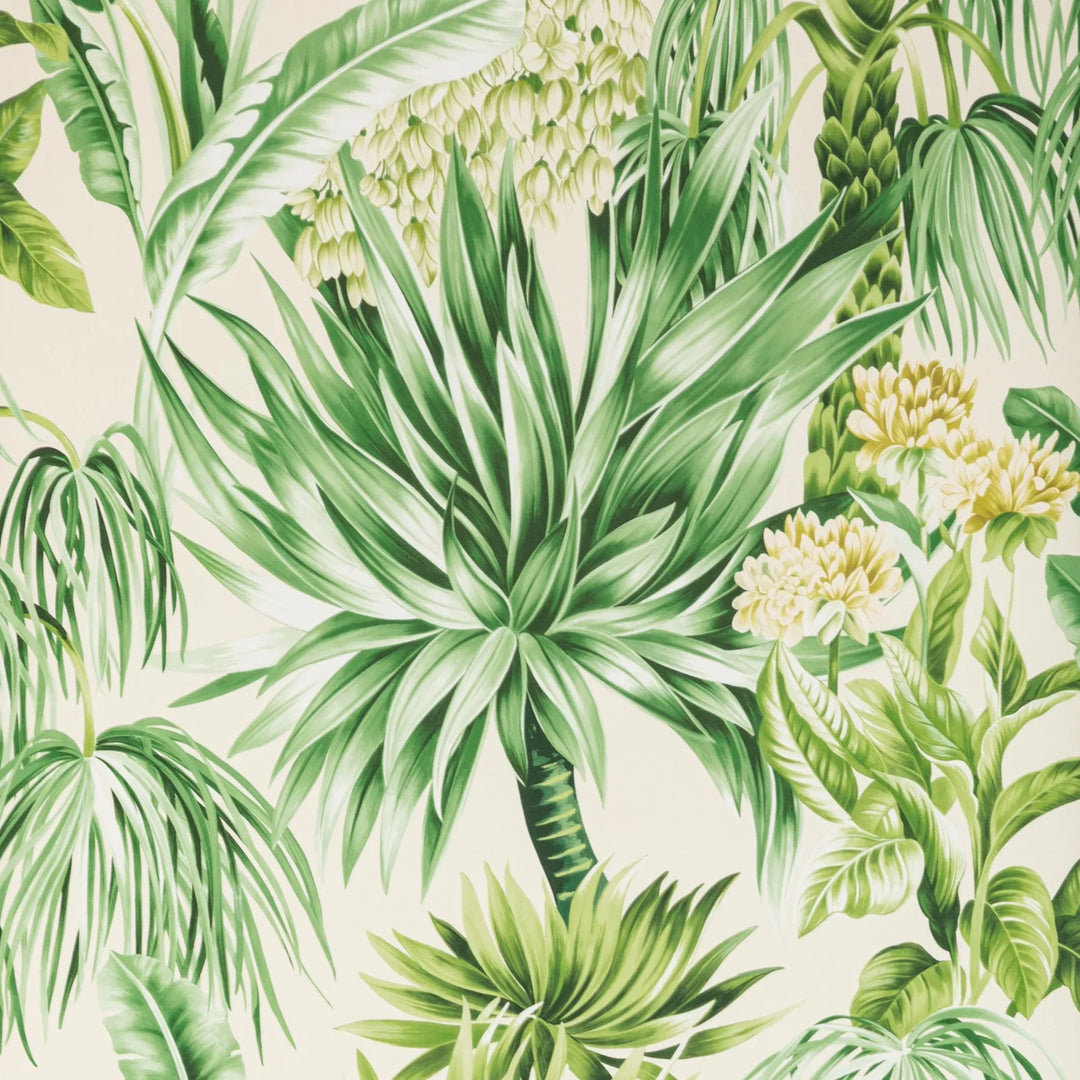 Caluya Wallpaper - Palm P2020104.3034