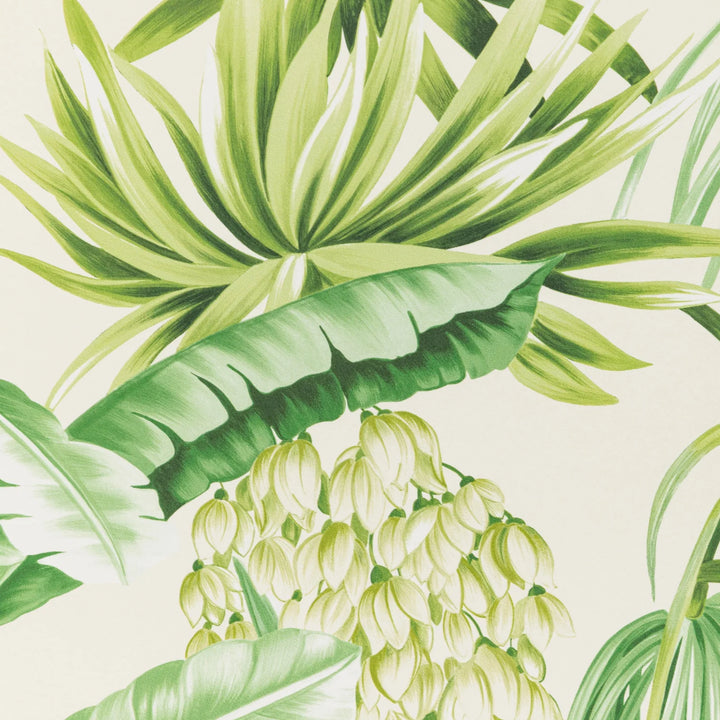 Caluya Wallpaper - Palm P2020104.3034