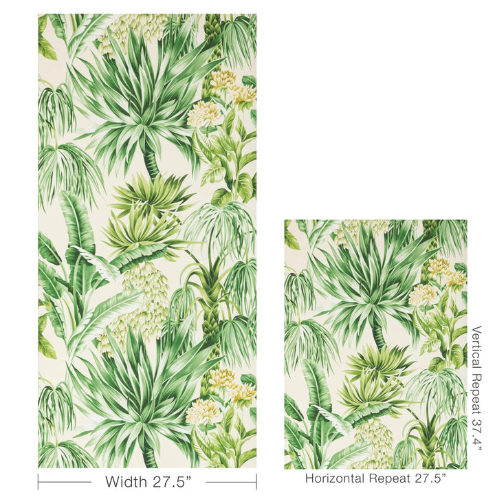 Caluya Wallpaper - Palm P2020104.3034