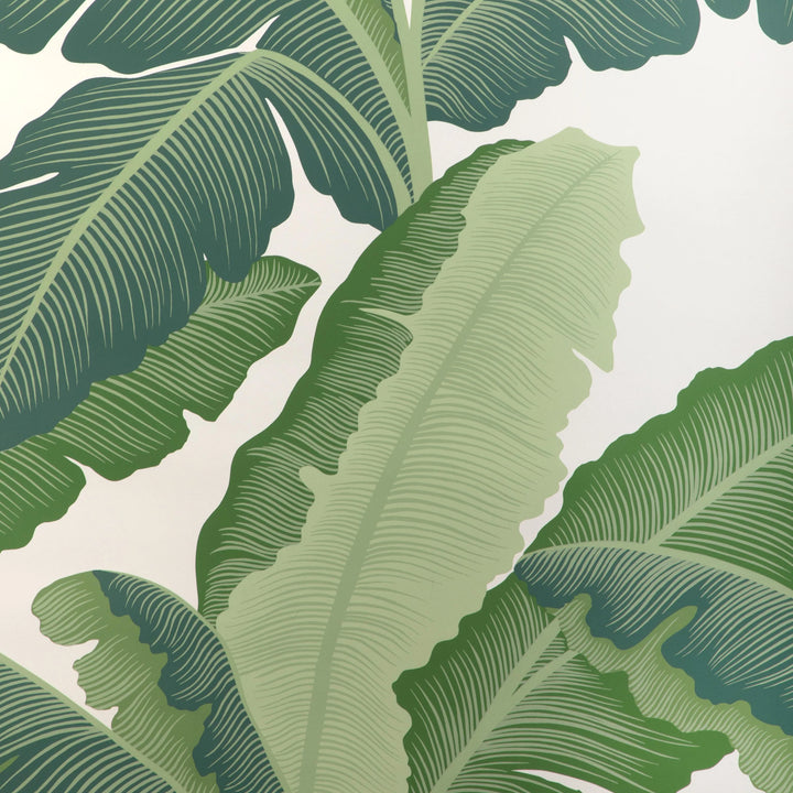 Isla Royal Wallpaper - Verde