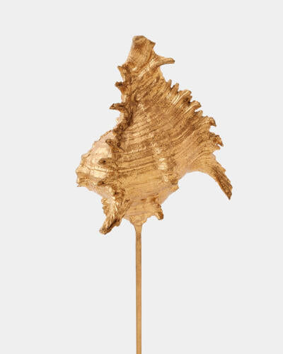 Shells on Marble Miter Gold Leaf Small
