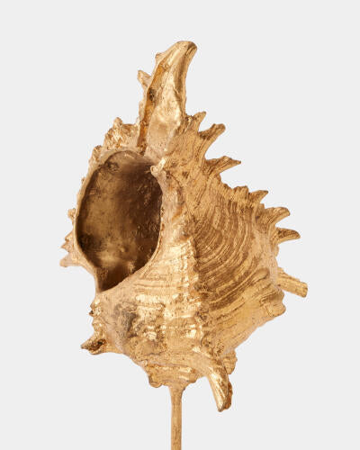 Shells on Marble Miter Gold Leaf Small
