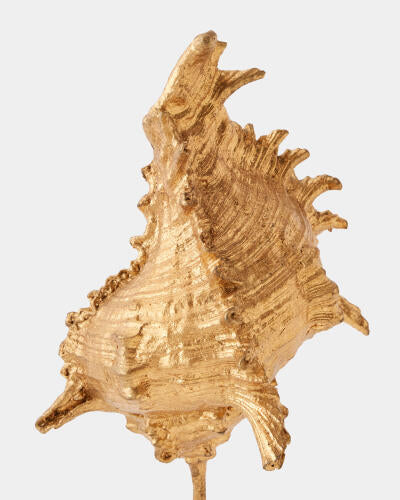 Shells on Marble Miter Gold Leaf Small