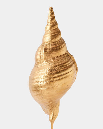 Shells on Marble Miter Gold Leaf Large