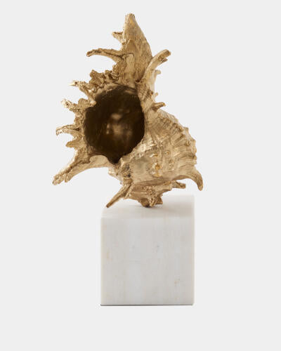 Spider Conch Shell Sculpture Brass