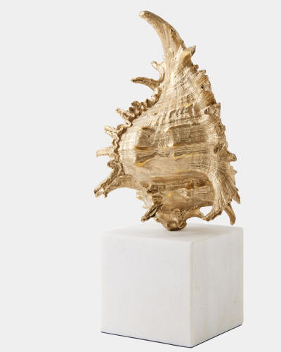 Spider Conch Shell Sculpture Brass