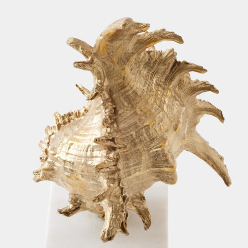 Spider Conch Shell Sculpture Brass