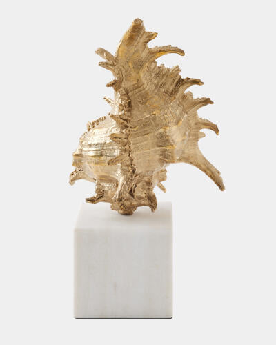 Spider Conch Shell Sculpture Brass