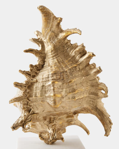 Spider Conch Shell Sculpture Brass