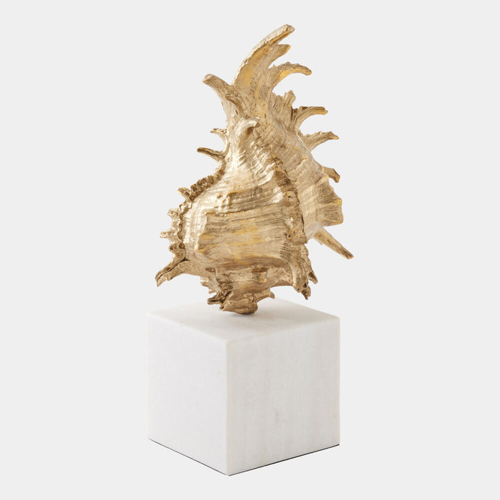 Spider Conch Shell Sculpture Brass