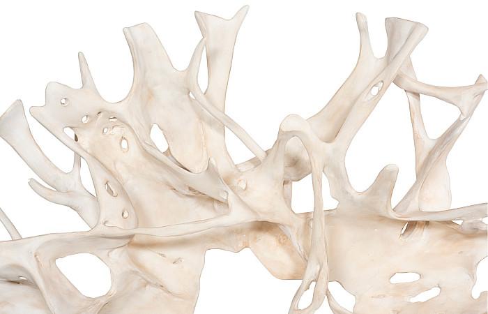 Cast Root Wall Decor, Faux Bleached