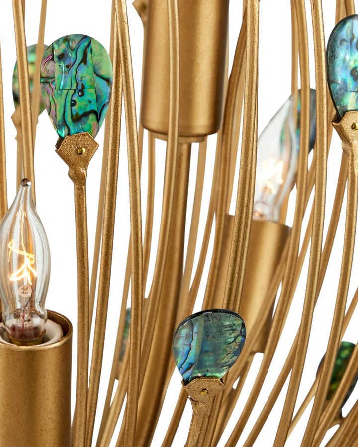 Delphos Chandelier